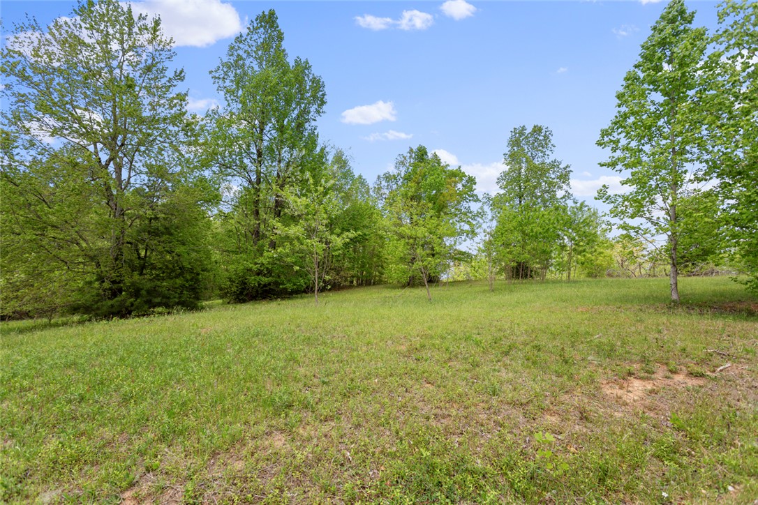 1 Lenore B Lane Mountain Rest, SC 29664 - Photo 2 of 10