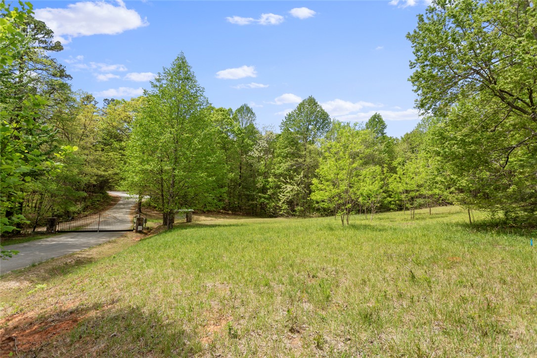 1 Lenore B Lane Mountain Rest, SC 29664 - Photo 3 of 10