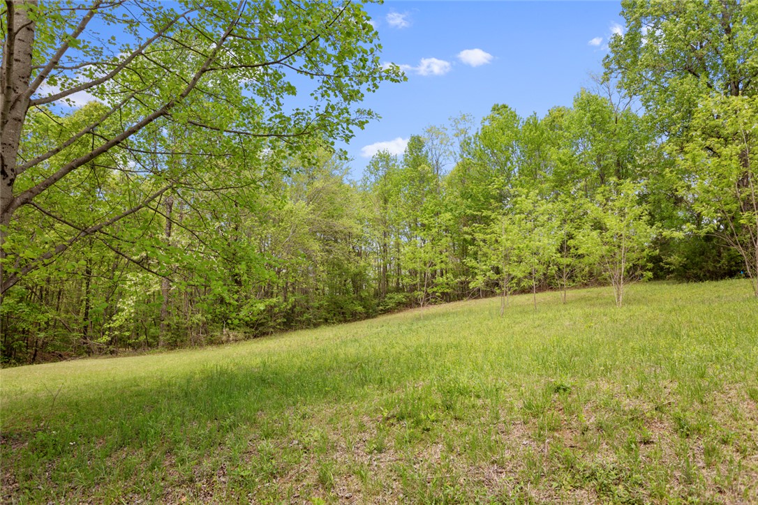 1 Lenore B Lane Mountain Rest, SC 29664 - Photo 4 of 10