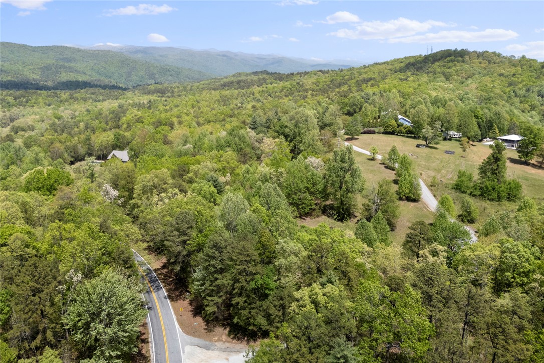 1 Lenore B Lane Mountain Rest, SC 29664 - Photo 6 of 10