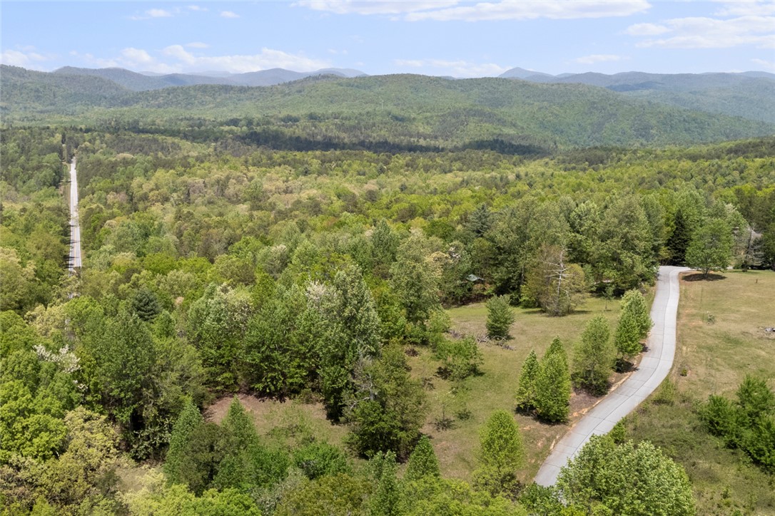 1 Lenore B Lane Mountain Rest, SC 29664 - Photo 10 of 10