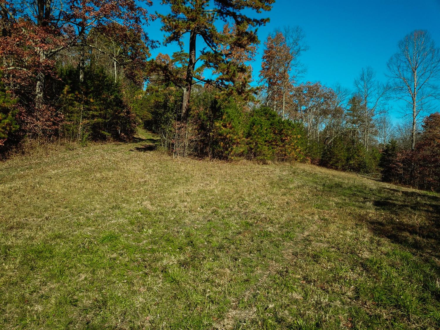 999 Red Davidson Road McKee, KY 40447 - Photo 10 of 45 Photo 10