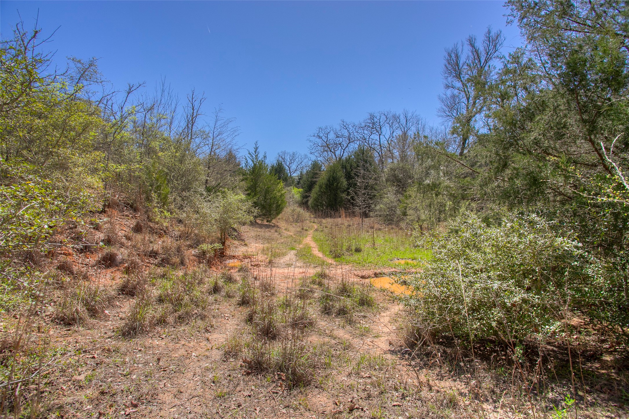 482 County Road 482 Normangee, TX 77871 - Photo 38 of 49