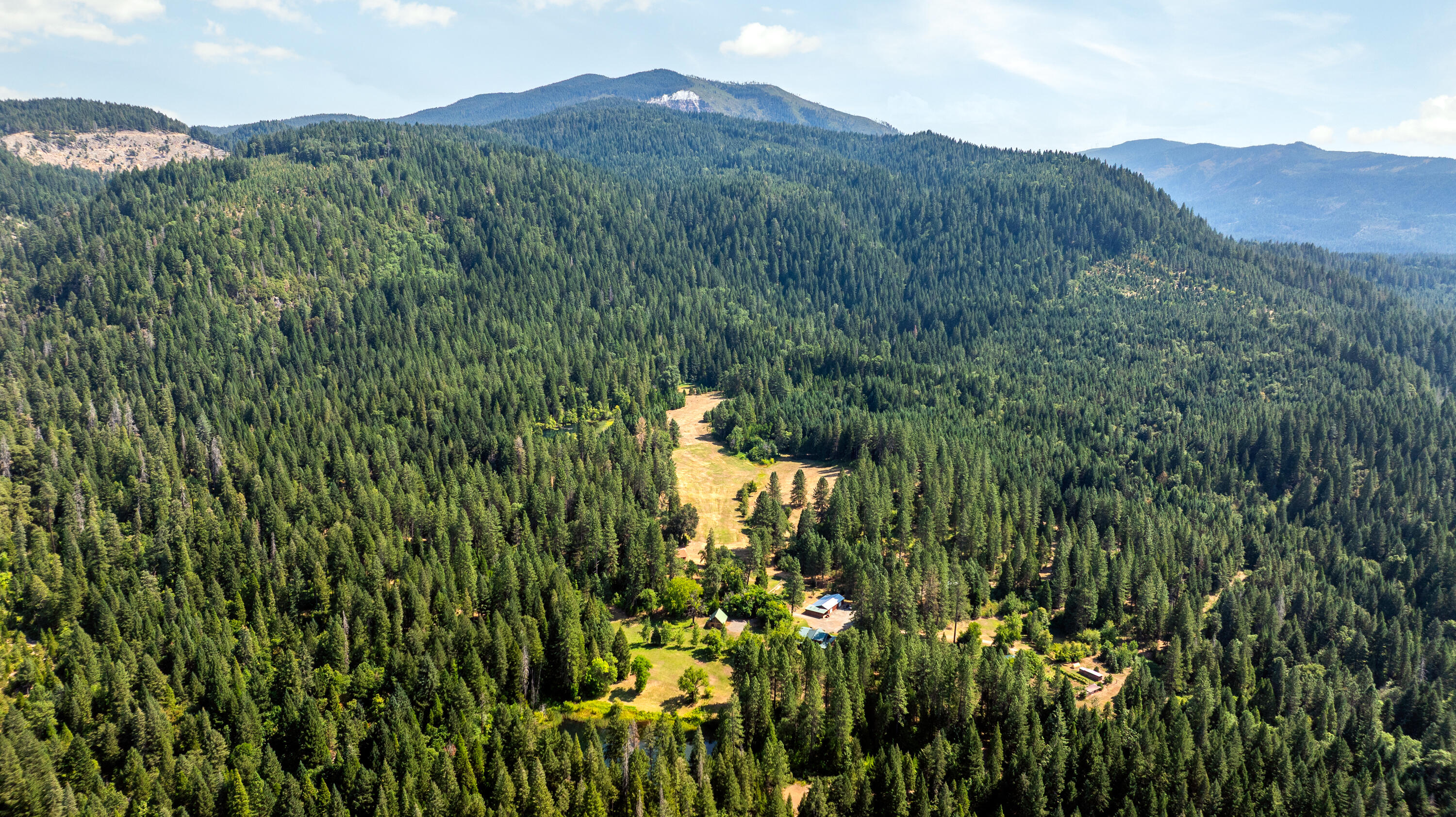 0 Summit Lake Road Montgomery Creek, CA 96065 - Photo 1 of 41 a view of a lush green forest with mountains in the background