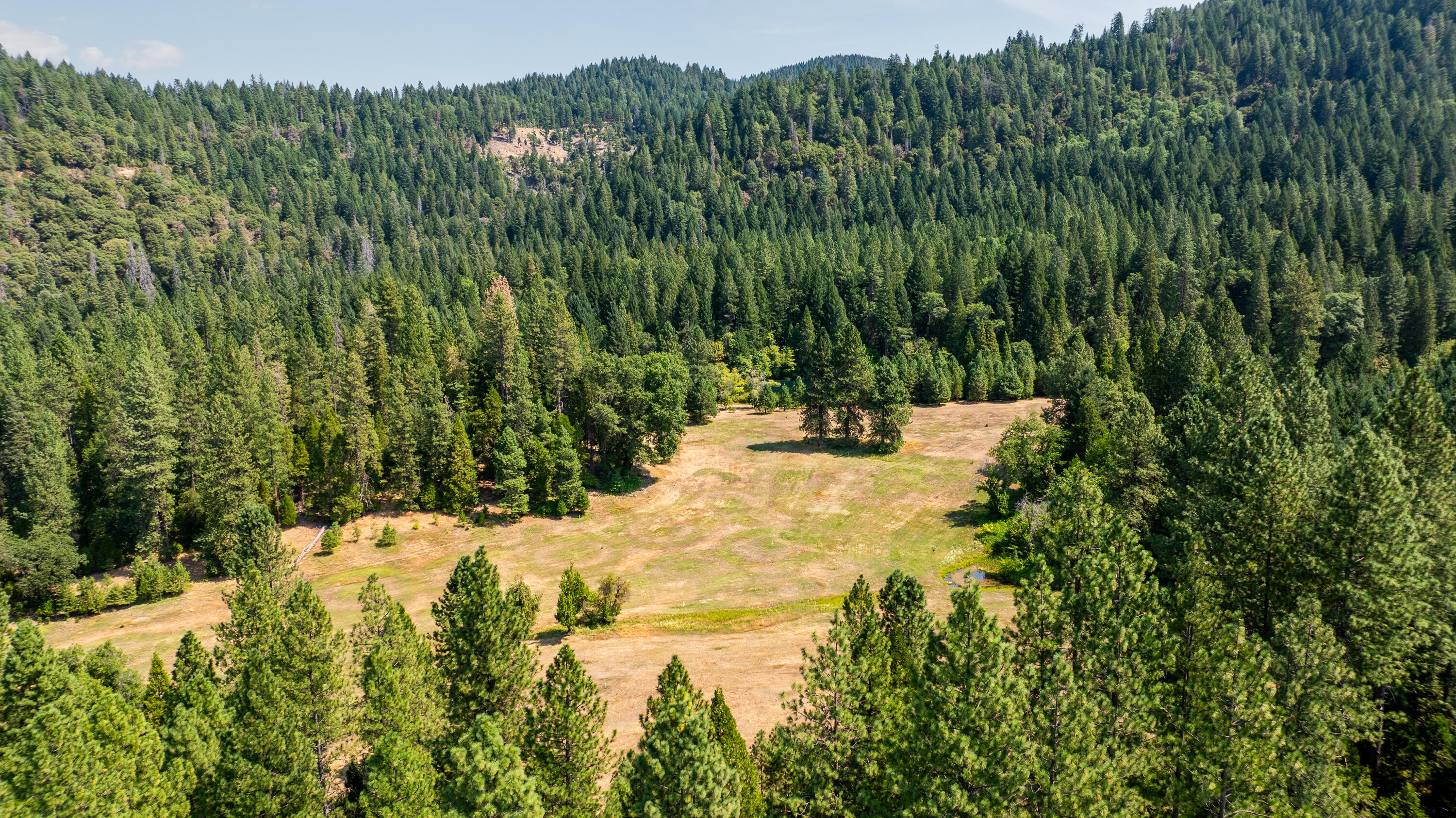 0 Summit Lake Road Montgomery Creek, CA 96065 - Photo 2 of 41 a view of swimming pool of water with green space