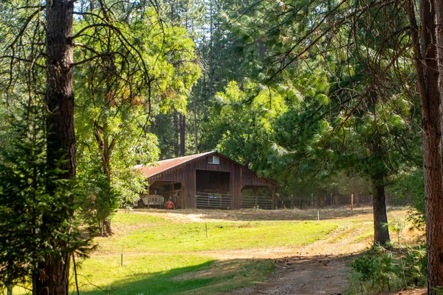 a view of a house with pool and trees