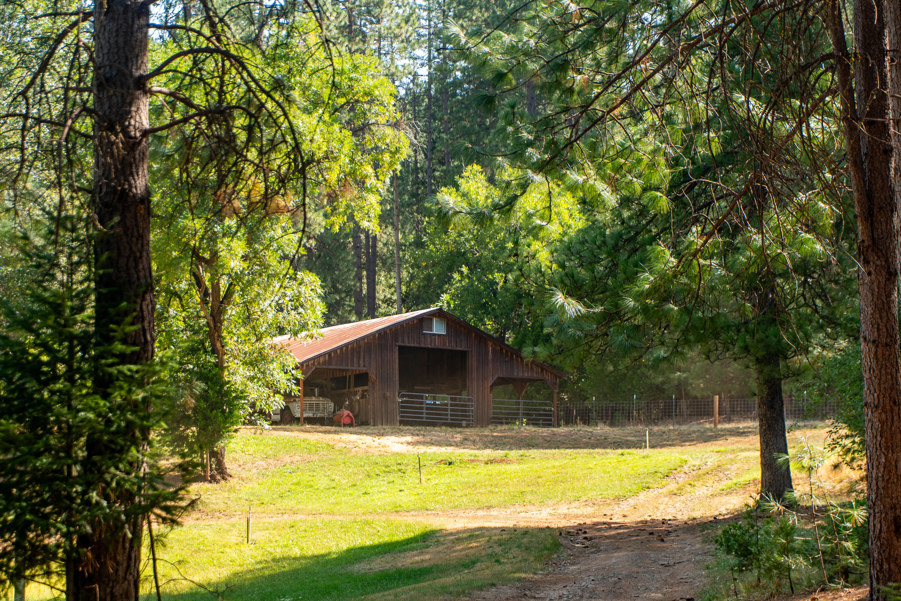 0 Summit Lake Road Montgomery Creek, CA 96065 - Photo 33 of 41 a view of a house with pool and trees