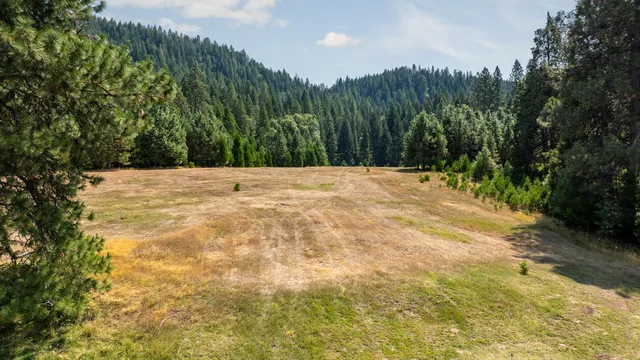 a view of an outdoor space and yard