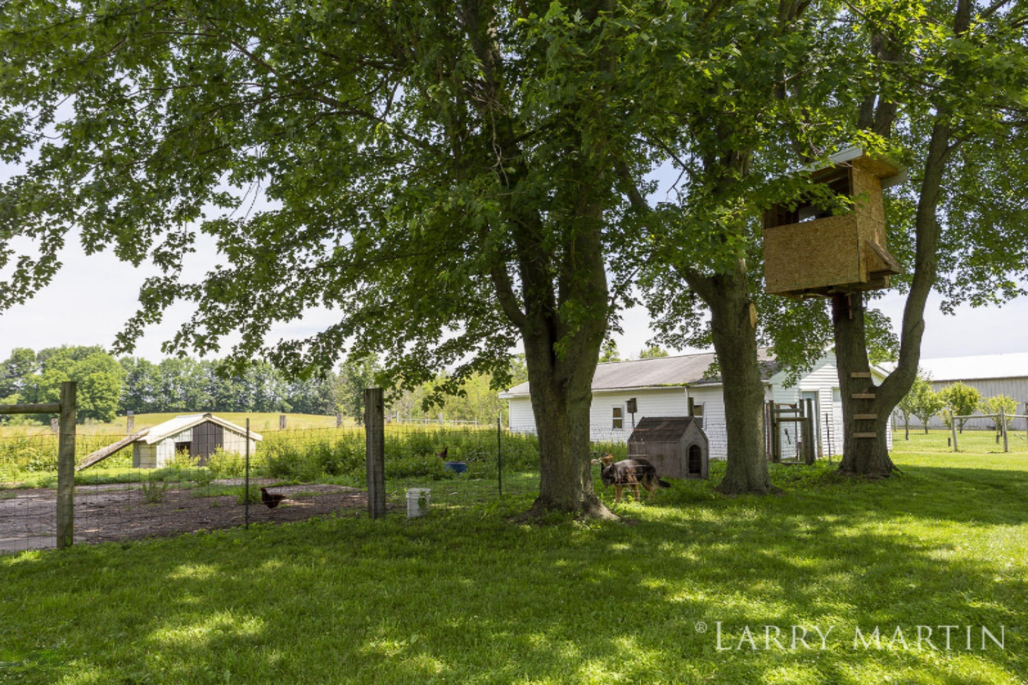 18460 Kimball Road Pierson, MI 49339 - Photo 55 of 117 18460 West Kimball_11