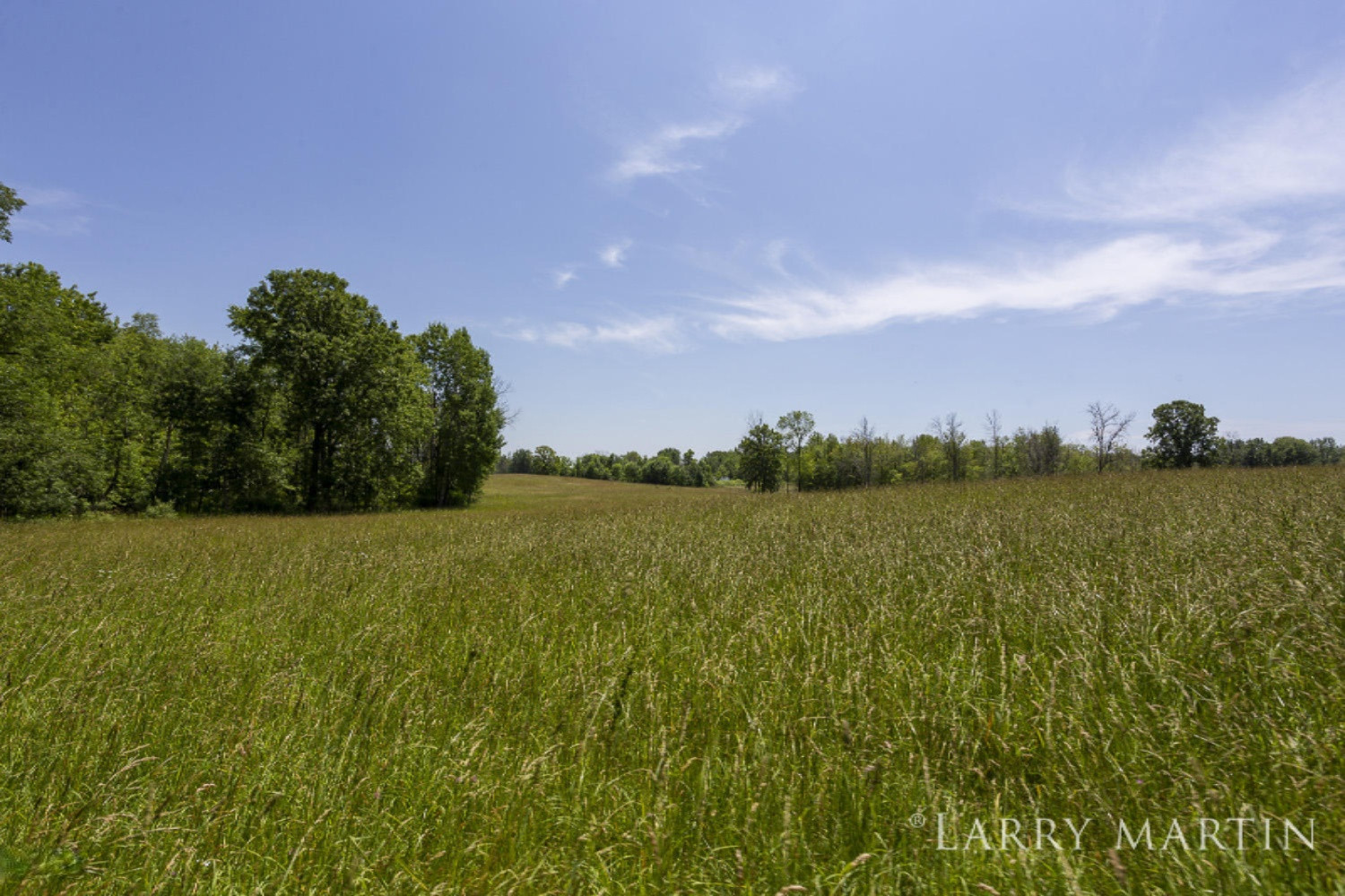 18460 Kimball Road Pierson, MI 49339 - Photo 93 of 117 18460 West Kimball_100