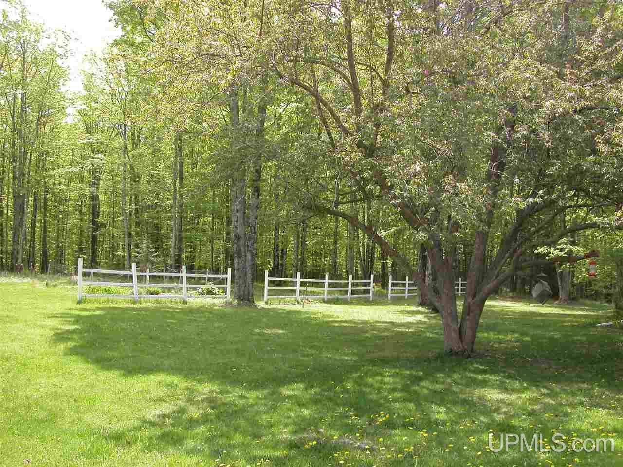 W1220 Maple Ln Road Carney, MI 49812 - Photo 3 of 31 Gallery Image 3