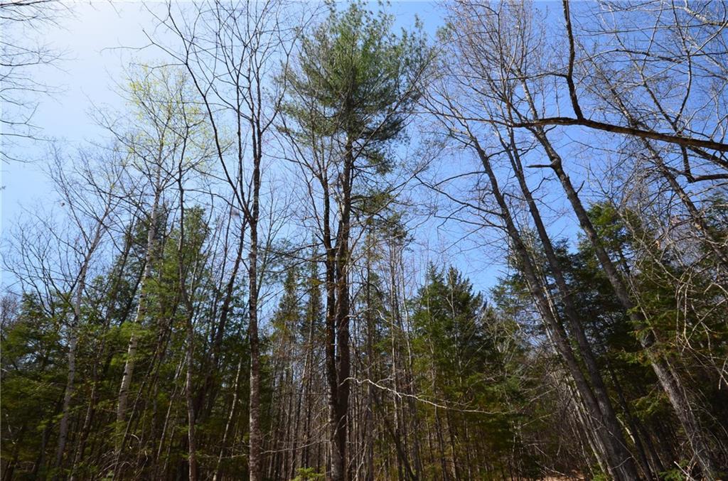 7 Mcnulty Road Rome, ME 04963 - Photo 9 of 21 Maine Land for Sale