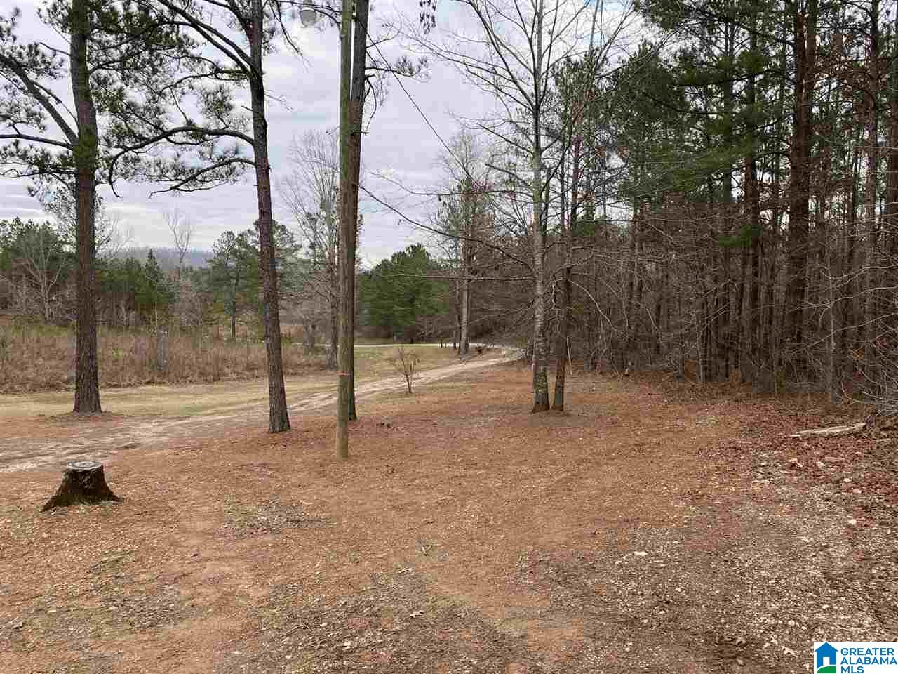 6042 Bull Gap Road Goodwater, AL 35072 - Photo 13 of 28