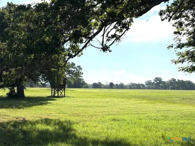 a view of grassy field with grass