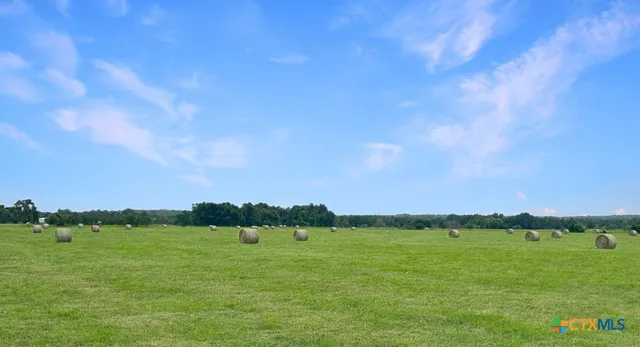 $1,100,000 | 1228 County Road 348 Loop, Gause, TX 77857