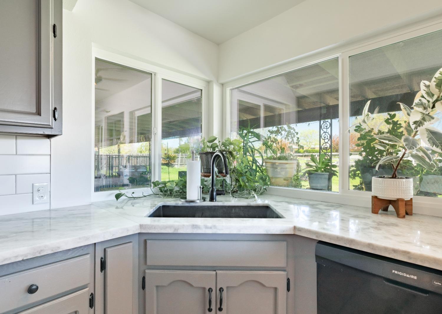 16993 Jennifer Court Madera, CA 93636 - Photo 9 of 55 a kitchen with a sink and potted plant