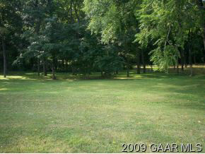 262 Cider Mill Road Mount Sidney, VA 24467 - Photo 7 of 9 a view of a green field with trees in the background
