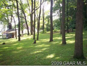 262 Cider Mill Road Mount Sidney, VA 24467 - Photo 8 of 9 a view of yard with trees