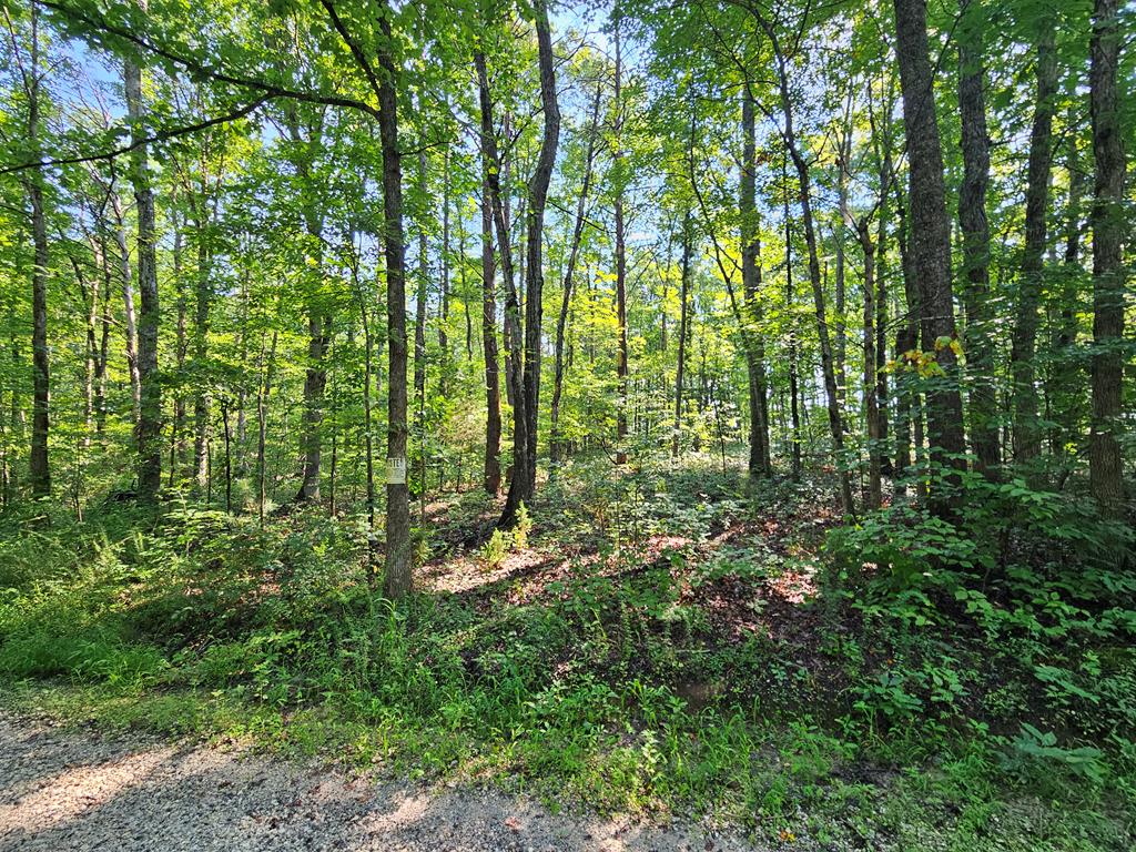 Sycamore Creek Road Buckingham, VA 23921 - Photo 4 of 13 Gallery Image 4