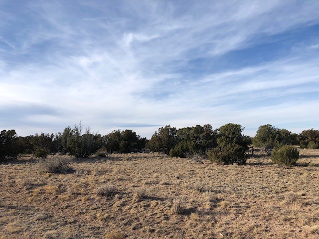 11 Anza Road Corona, NM 88318 - Photo 11 of 19