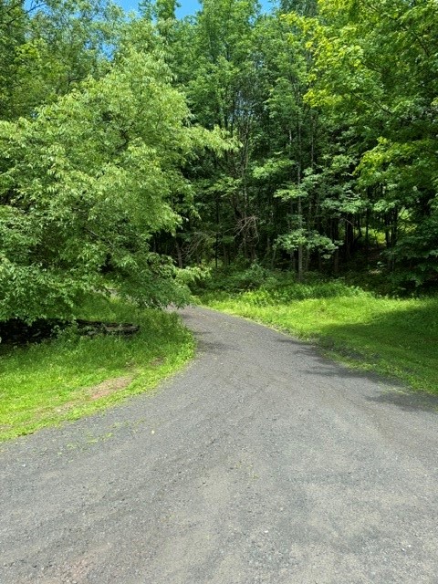 228 Staab Road Roxbury, NY 12474 - Photo 30 of 31