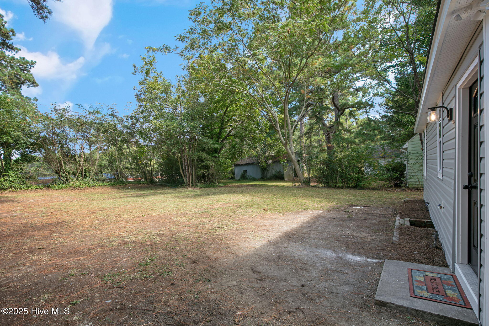 1205 Toisnot Avenue Northeast Wilson, NC 27893 - Photo 24 of 25 Back Yard