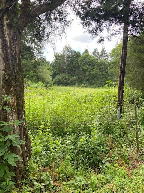 Pleasant Hill Road Philadelphia, TN 37846 - Photo 3 of 17 pasture