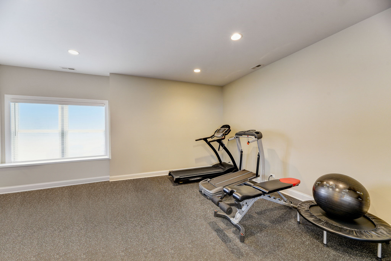 20940 West Summit Drive Kildeer, IL 60047 - Photo 51 of 62 a view of a room with gym equipment