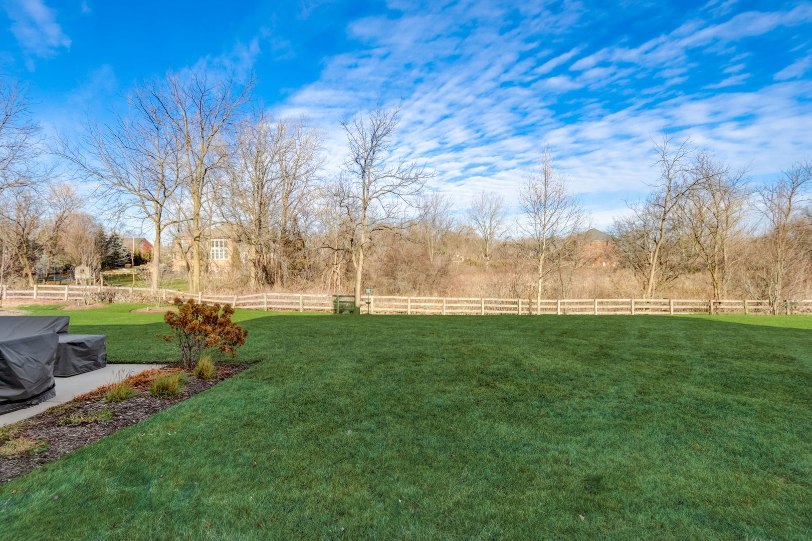 20940 West Summit Drive Kildeer, IL 60047 - Photo 56 of 62 a view of yard with tree s