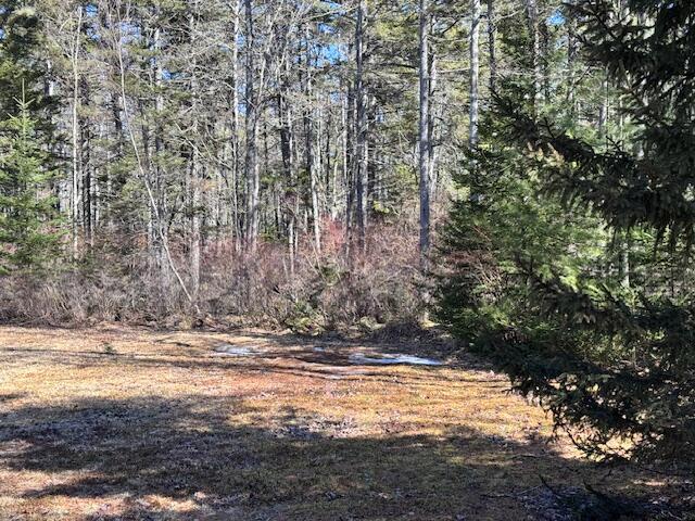 923 Castine Road Castine, ME 04421 - Photo 10 of 24 Side yard
