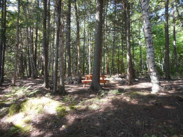 334 Bluff Road Enfield, ME 04493 - Photo 17 of 26 Photo