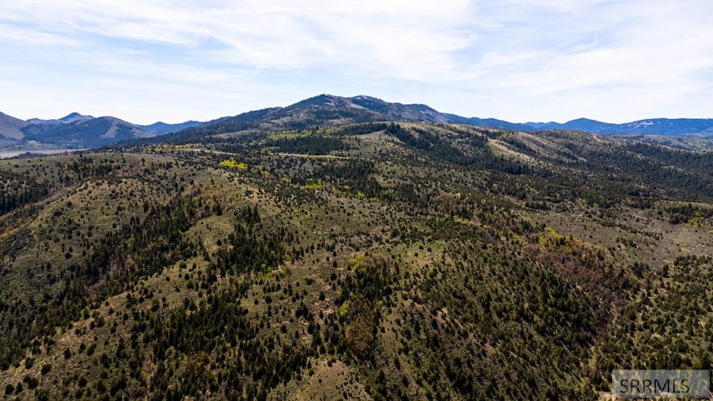 Tbd Fish Creek Road Lava Hot Springs, ID 83246 - Photo 6 of 22