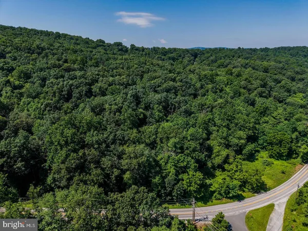 a view of a field of grass and trees