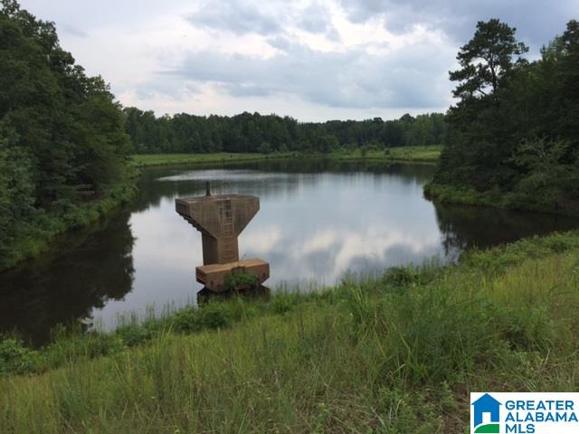 Driggers Road, Unit 33 Lineville, AL 36266 - Photo 5 of 9