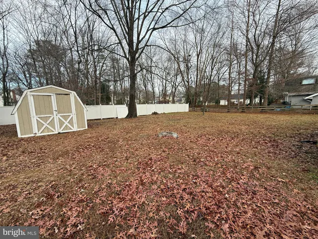 a view of a yard with large trees