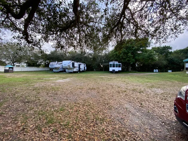 a view of a park with large trees