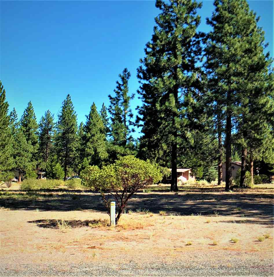 7-3 Fisher Rd Lake Weed, CA 96094 - Photo 1 of 6 Gallery Image 1