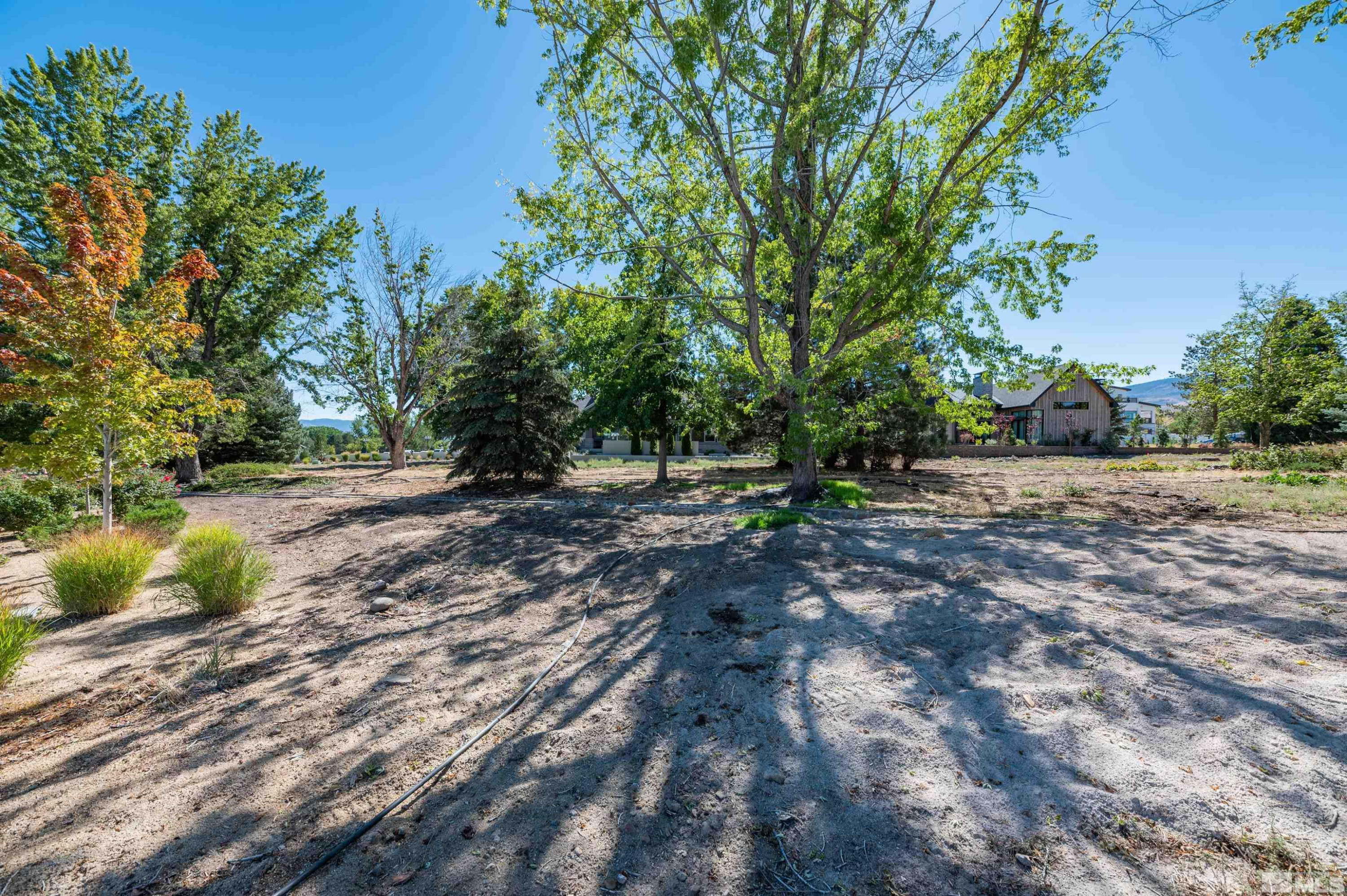 6119 Rancharrah Parkway, Unit LOT 12 Reno, NV 89511 - Photo 6 of 14 a view of outdoor space with trees