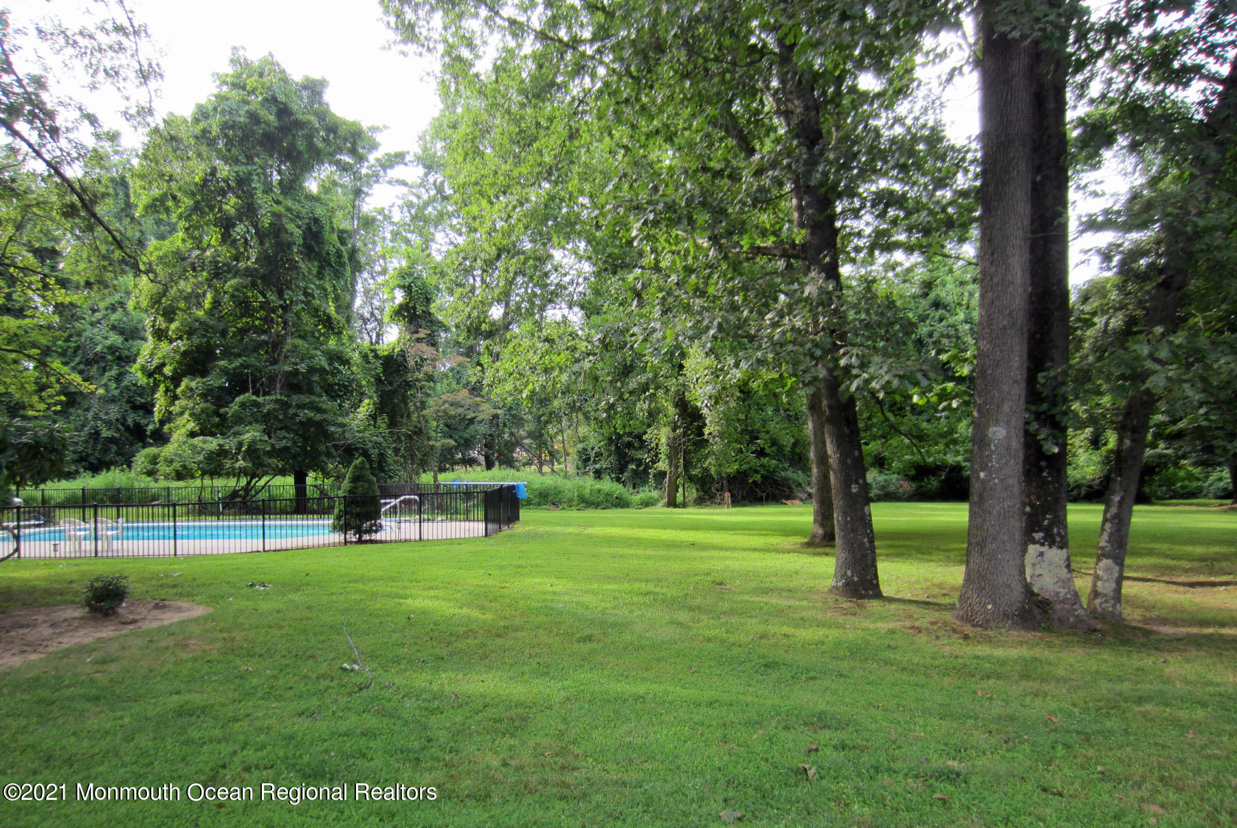 24 Beaver Dam Road Colts Neck, NJ 07722 - Photo 26 of 31 a view of a trees in a park