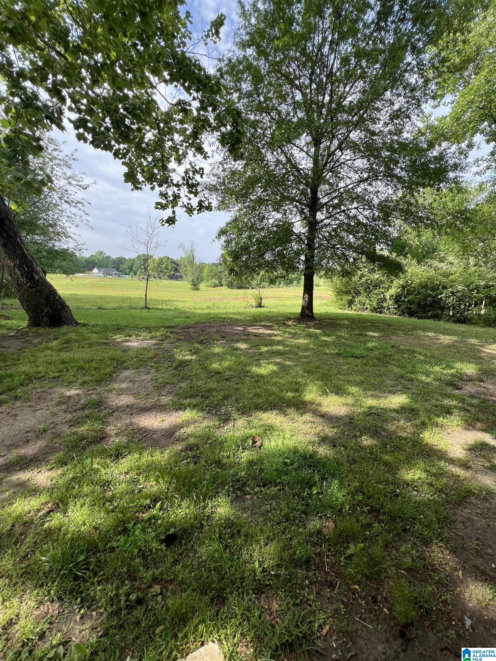187 Wesson Street Jemison, AL 35085 - Photo 20 of 21