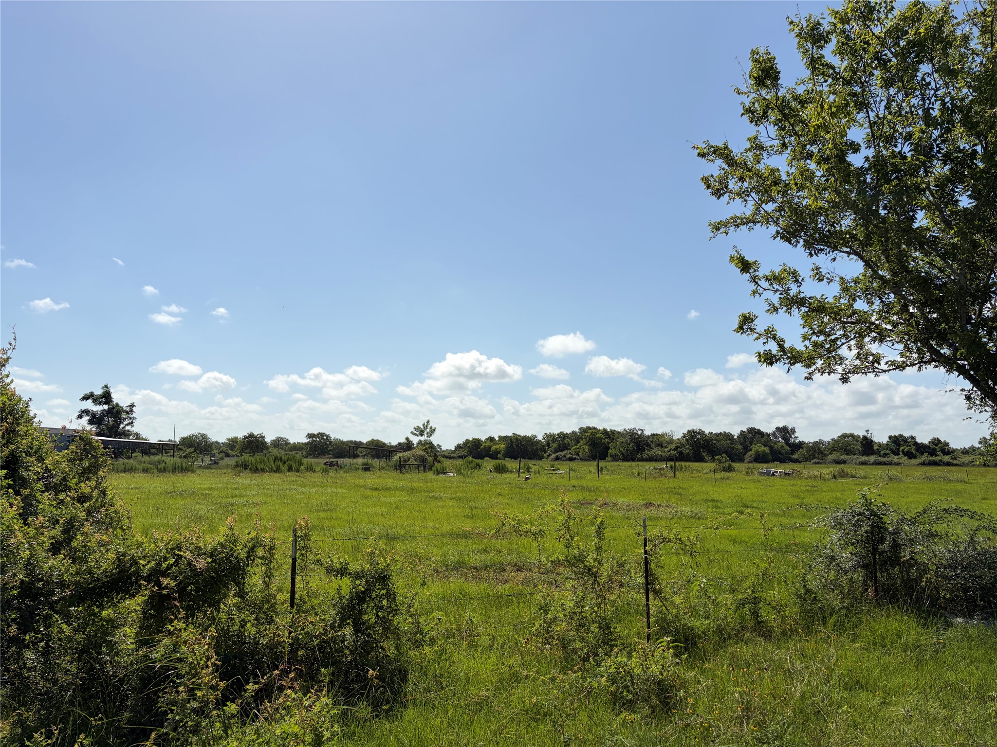 1186 Schindler Road Alleyton, TX 78935 - Photo 11 of 17