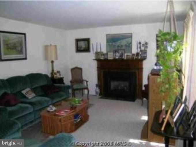 22181 St Louis Road Middleburg, VA 20117 - Photo 3 of 10 Nice Size sunny Living room with Gas fireplace.