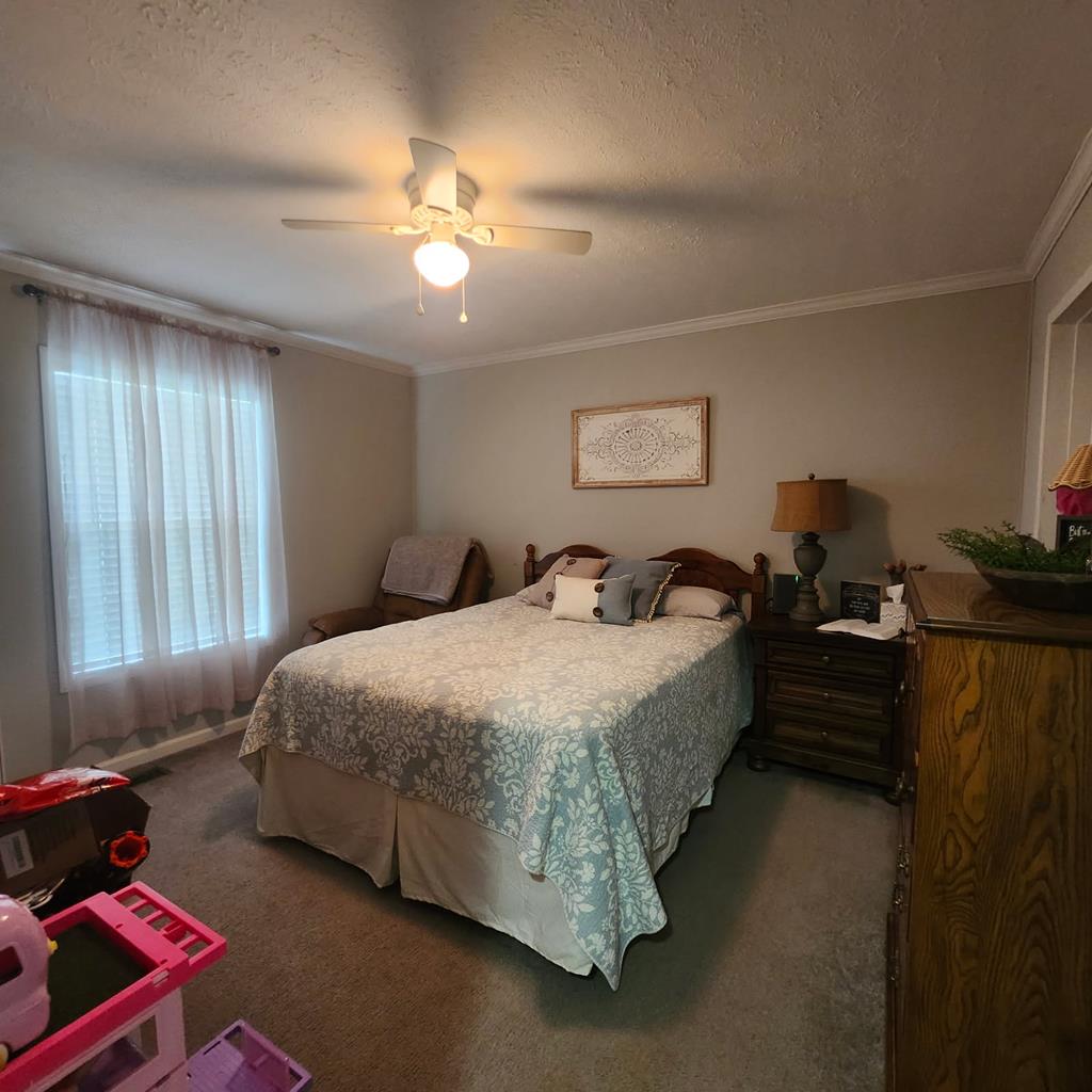 786 Blackberry Road Baconton, GA 31716 - Photo 64 of 67 Gallery Image 64