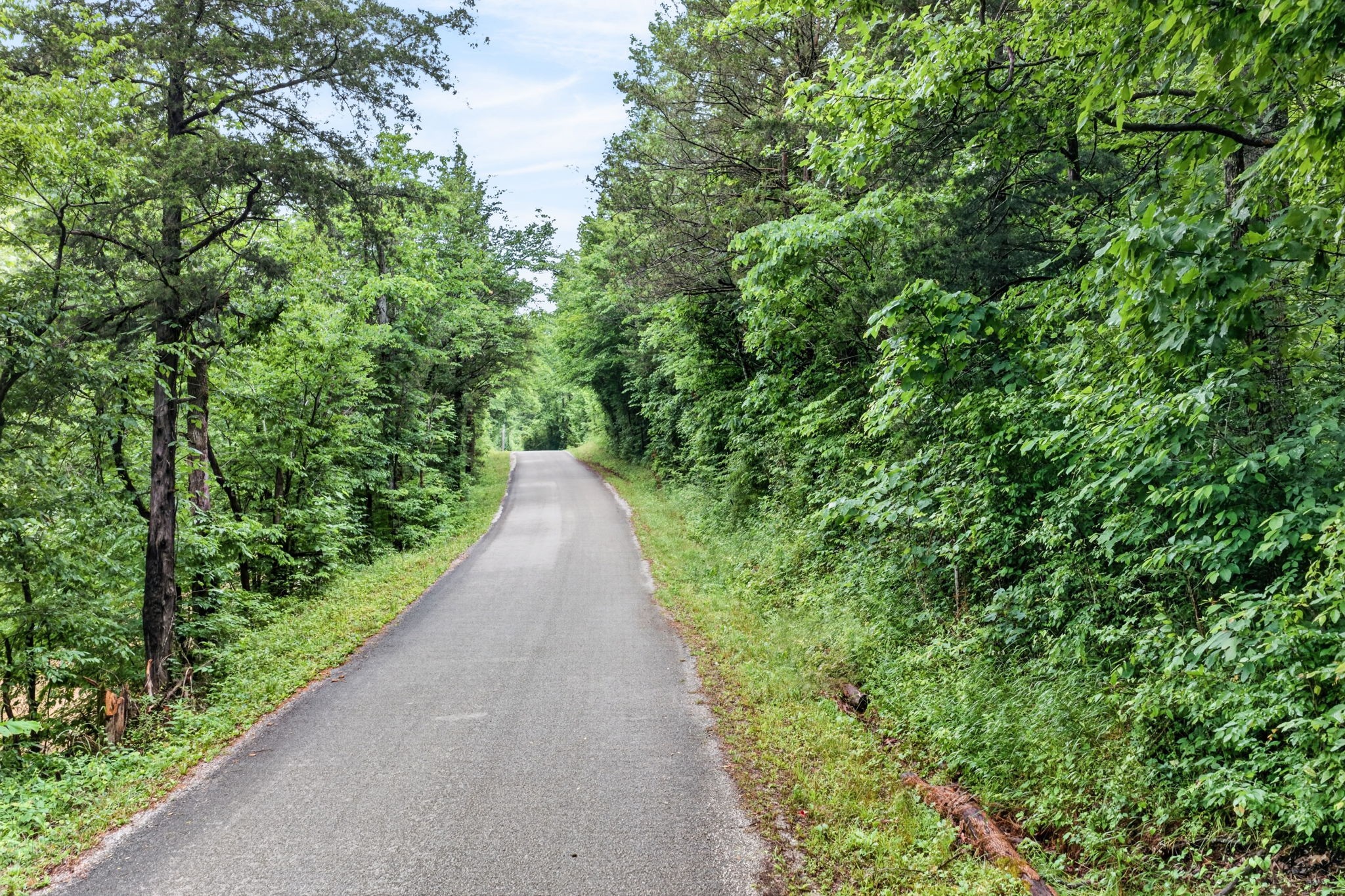 457 Shiloh Road Crawford, TN 38554 - Photo 12 of 22
