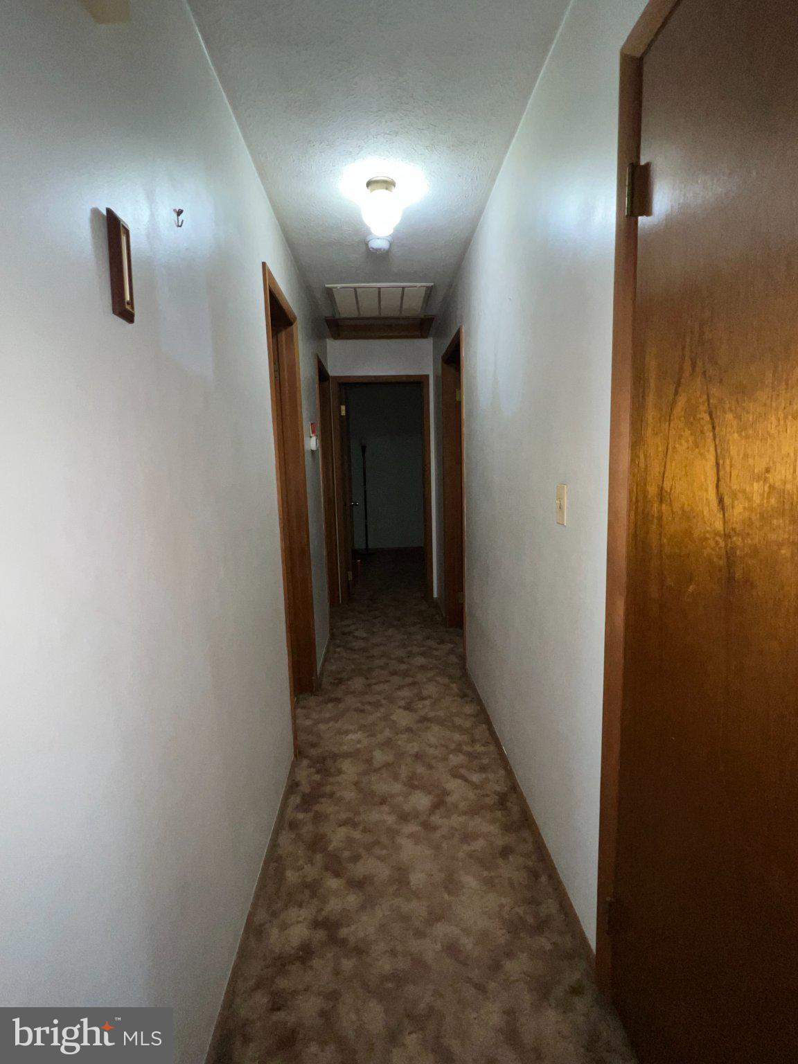 101 Fair Haven Street Ridgeley, WV 26753 - Photo 12 of 29 Inviting hallway with warm tones.