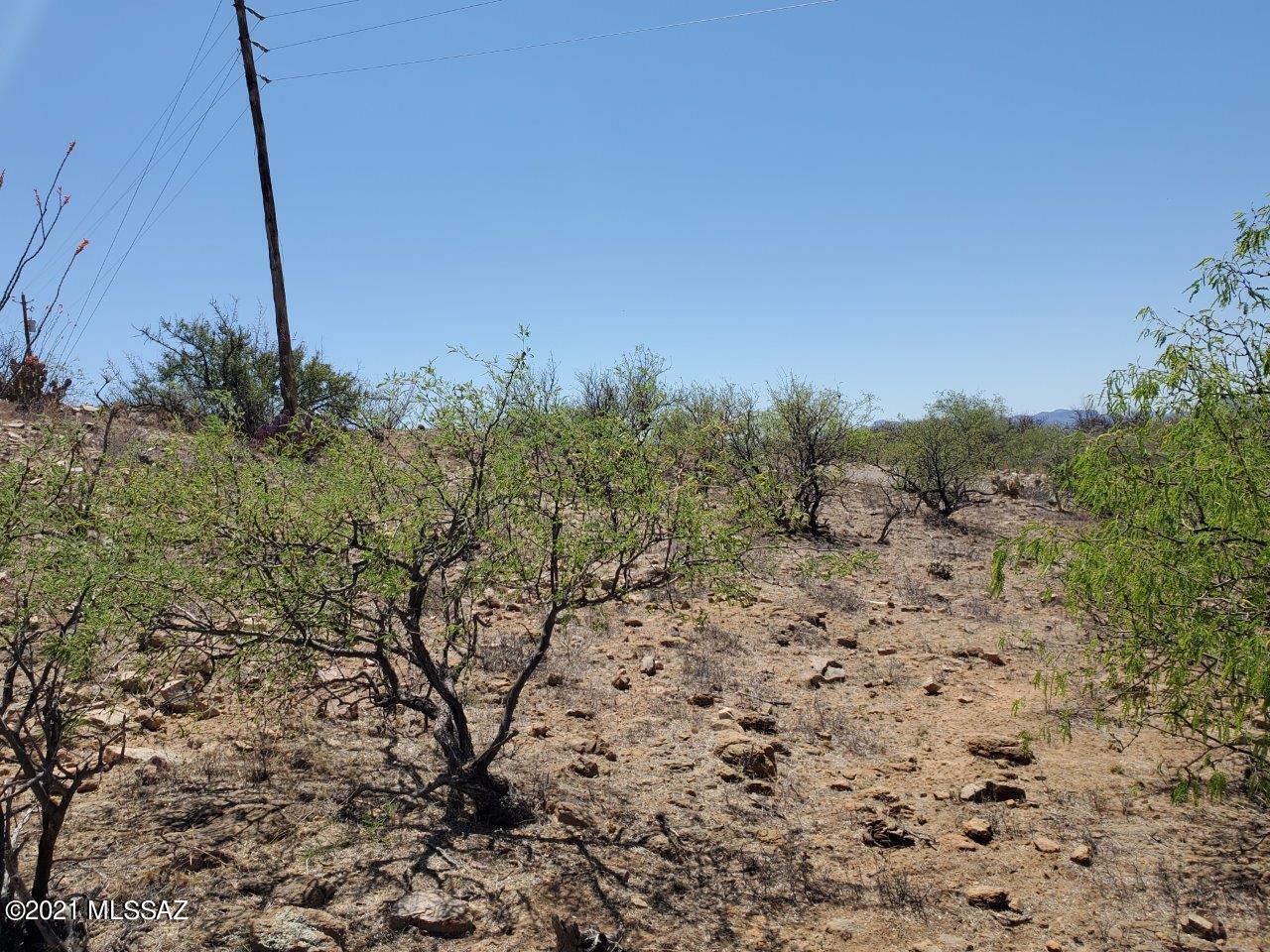 1695 Vía San Cayetano, Unit 7 Rio Rico, AZ 85648 - Photo 21 of 36