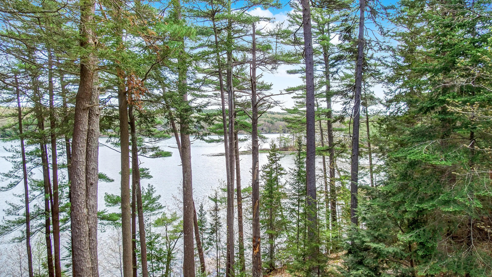 157 North End Road Westport Island, ME 04578 - Photo 6 of 47 04_DJI_0456_57_58_59_60_DxO_mls