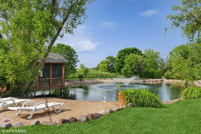a view of a city with flower plants