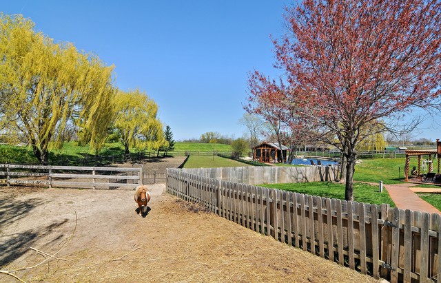 14080 West Old School Road Mettawa, IL 60048 - Photo 7 of 64 a view of a wrought iron fences