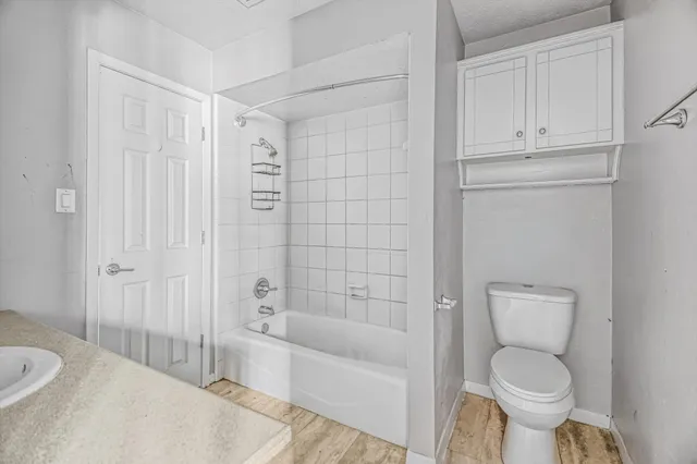 a bathroom with a toilet and a bathtub